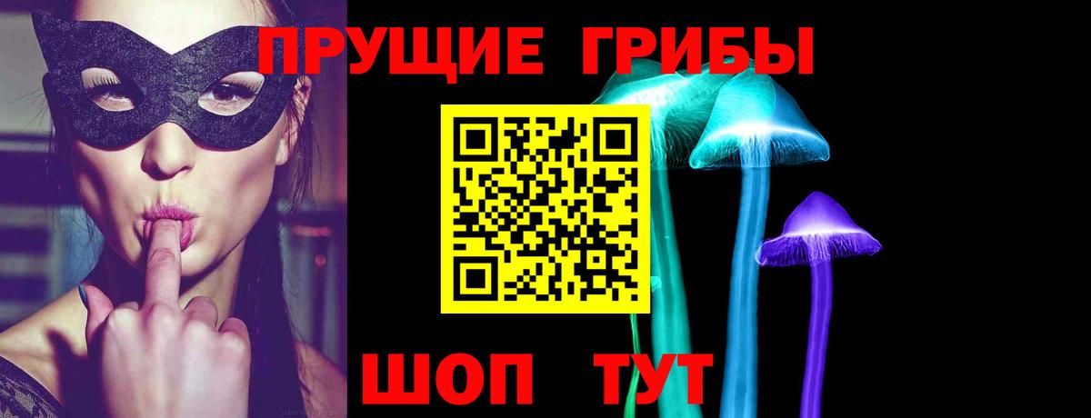 Евпатория  Галлюциногенные грибы MAGIC MUSHROOMS  где купить наркоту  Вход с VPN  Галлюциногенные грибы мицелий 